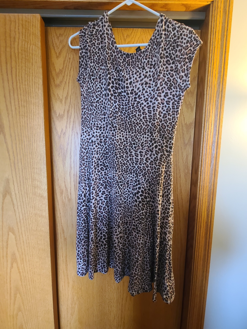 art class Leopard Print Swing Dress